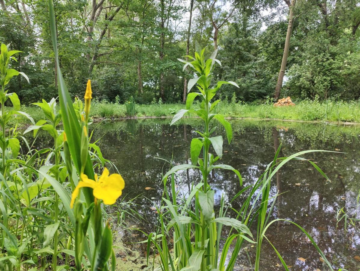 Kwadijkerbos B&B 외부 사진